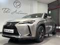 Lexus UX 250h Executive Navigation 2WD Gris - thumbnail 2