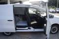 Renault Kangoo 1.5 Blue dCi 75CV Van Edition One Open Sesame Bianco - thumbnail 13