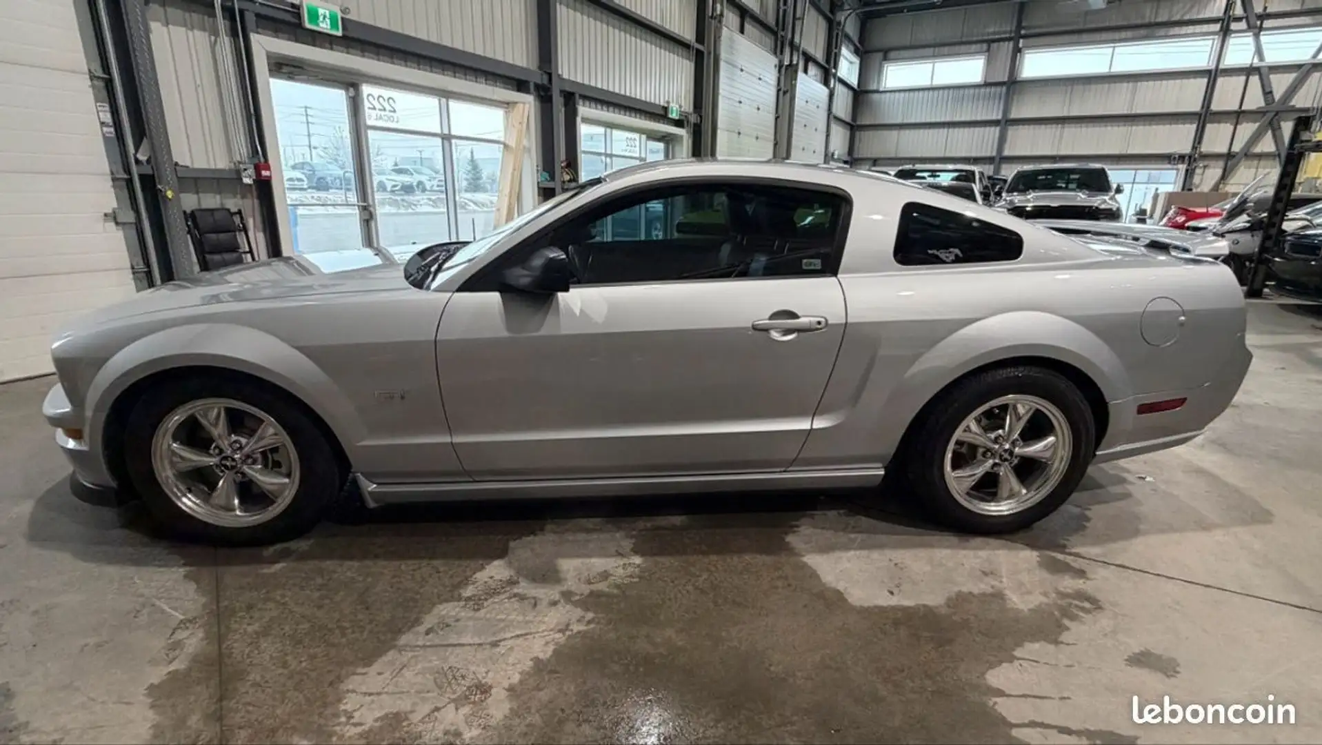 Ford Mustang GT 2005 Gris - 2