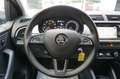 Skoda Fabia Combi Scoutline NAVI, KLIMAAUTOMATIK, PDC Blauw - thumbnail 12