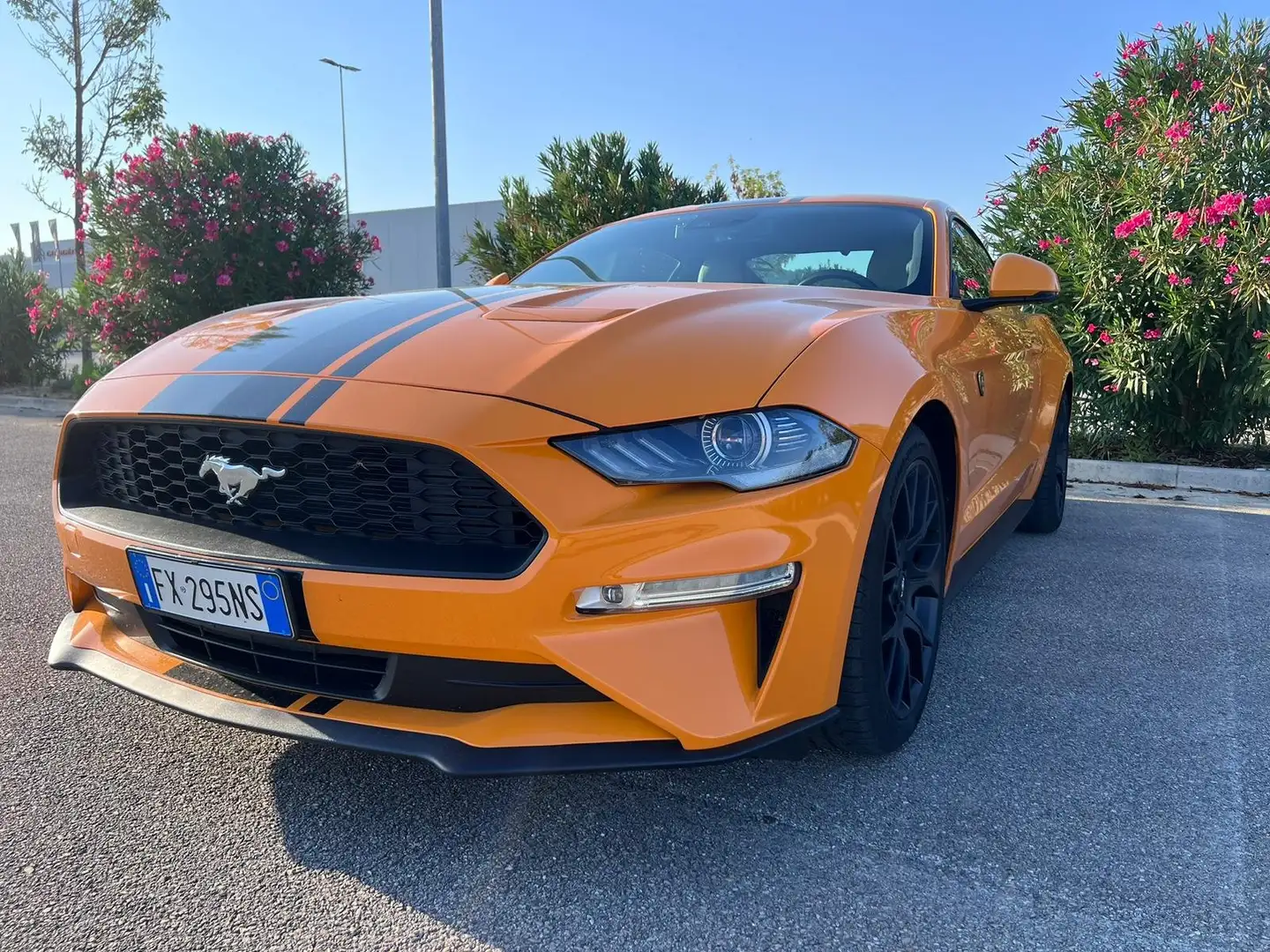 Ford Mustang Mustang Fastback 2.3 ecoboost 290cv auto my19 Arancione - 1