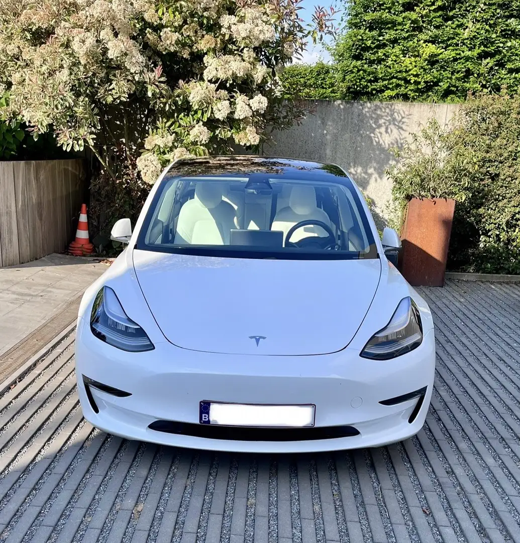 Tesla Model 3 75 kWh Dual Motor Long range - 1