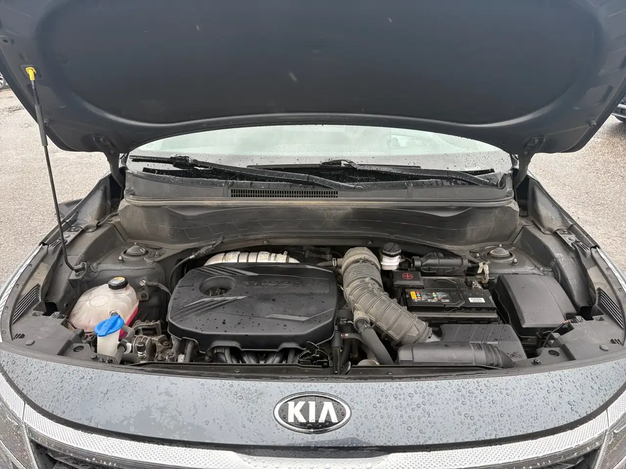 Kia Seltos снимка Kia Seltos