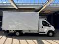 Citroen Jumper 2.2 HDi KOFFER L4 LBW KLIMA 3,5t 3-SITZER Weiß - thumbnail 14