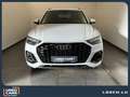 Audi Q5 SB/S-line/S-Tronic/40TDI/LED Blanc - thumbnail 5