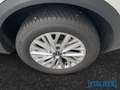 Volkswagen T-Roc 1.5TSI DSG Life LED AHK Navi SHZ Carplay DAB Grau - thumbnail 8