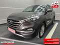 Hyundai TUCSON blue Intro Edition 2WD " 1 HAND-NAVI-ALU" Braun - thumbnail 1