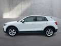 Audi Q2 30 TFSI intense Weiß - thumbnail 2