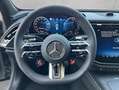 Mercedes-Benz E 53 AMG E-Klasse Grau - thumbnail 9