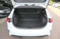 Kia Ceed / cee'd Ceed 1.5 T-GDI Navi/Klima/Sitzhzg./PDC/Kamera Weiß - thumbnail 25