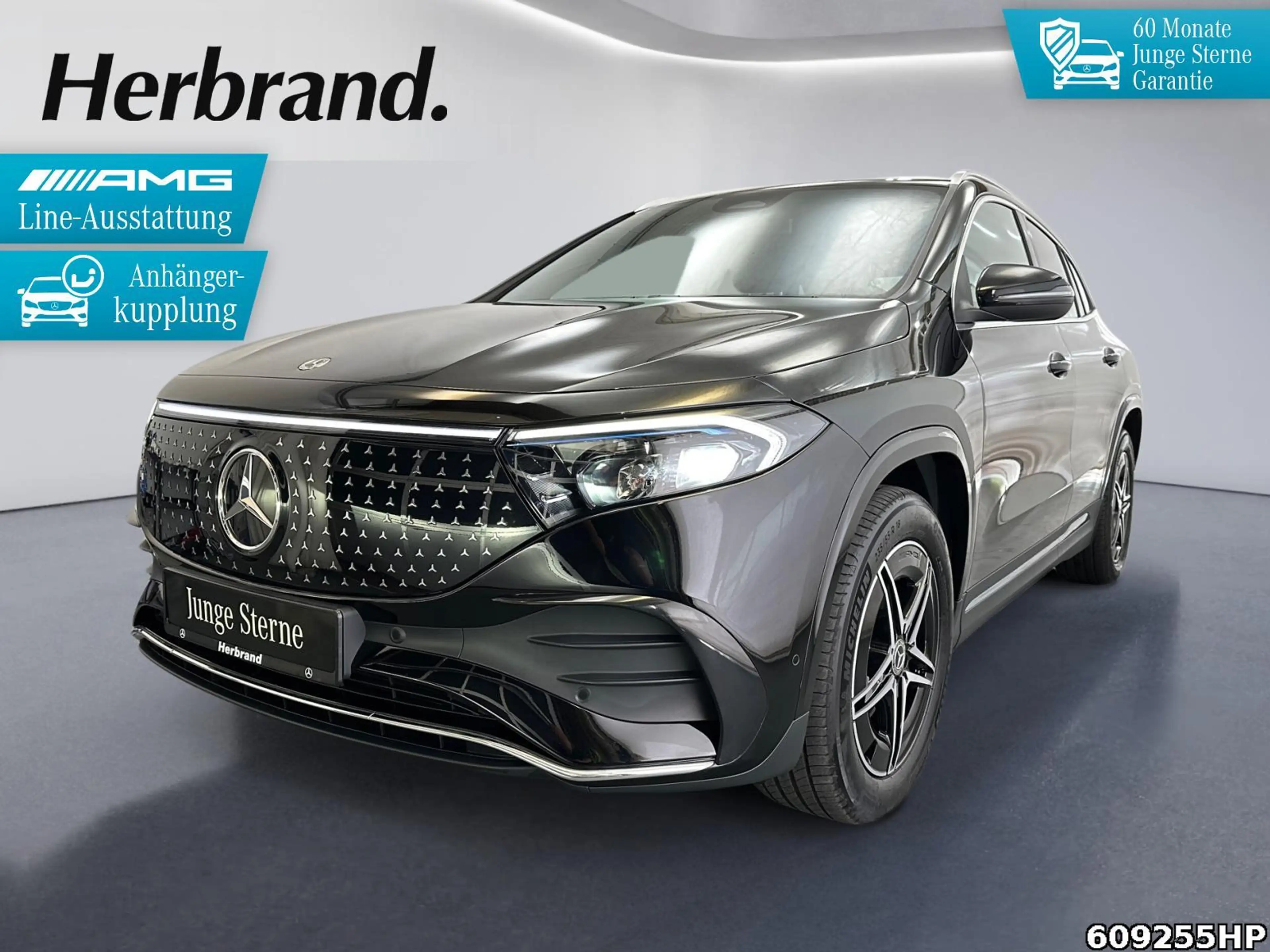 Mercedes-Benz EQA 350 4M AMG AHK DISTRONIC Totwinkel Alarmanl.