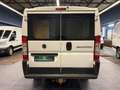 Fiat Ducato Kasten L1-H1 Kamera Navi 1.Hand HU&AU NEU Blanc - thumbnail 8