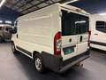 Fiat Ducato Kasten L1-H1 Kamera Navi 1.Hand HU&AU NEU Blanc - thumbnail 6