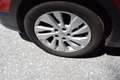 Suzuki SX4 S-Cross AllGrip Shine 4x4 pickerl neu Rot - thumbnail 10