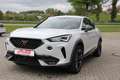 CUPRA Formentor DSG VOLL-LED AdapTempomat NAVI CAM Bianco - thumbnail 6