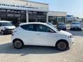 Lancia Ypsilon 1.0 FireFly 5 porte S&S Hybrid Platino Bianco - thumbnail 5