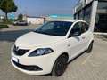 Lancia Ypsilon 1.0 FireFly 5 porte S&S Hybrid Platino Bianco - thumbnail 1