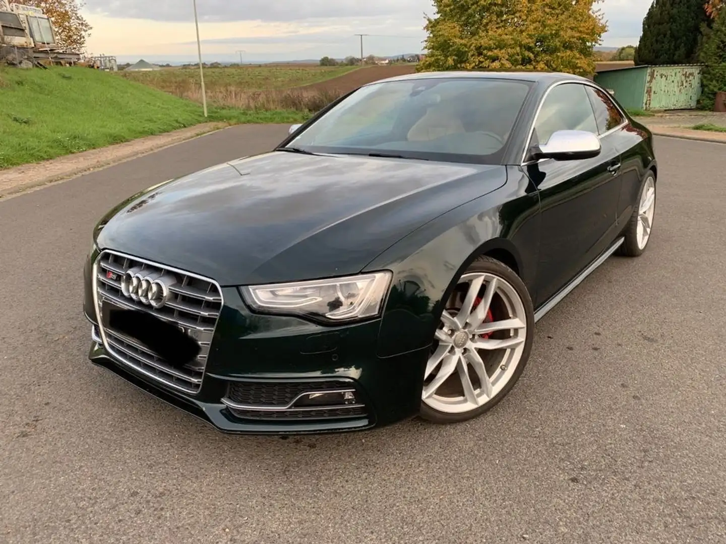 Audi S5 3.0 TFSI quattro Groen - 1