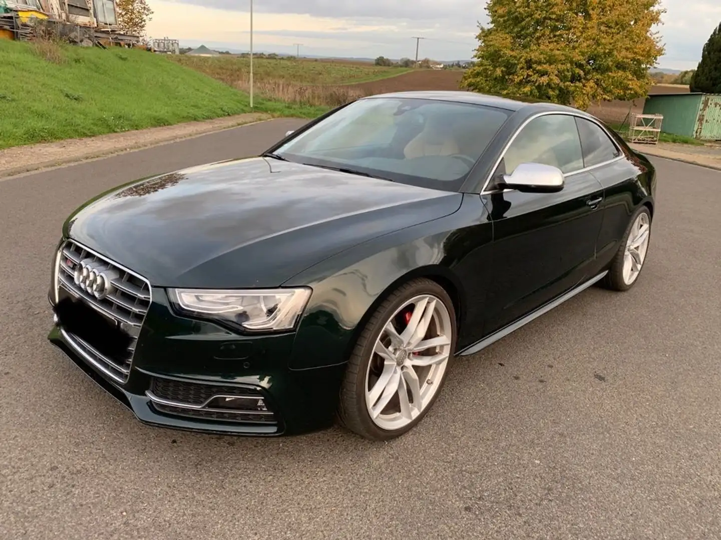 Audi S5 3.0 TFSI quattro Groen - 2