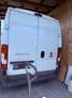 Fiat Ducato 33 L2H2 130 GR-Panorama - thumbnail 4