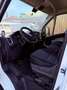 Fiat Ducato 33 L2H2 130 GR-Panorama - thumbnail 5