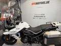 Triumph Tiger 800 Blanc - thumbnail 10