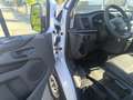 Ford Transit Custom FT 280 L1 Van Ambiente 105 Blanco - thumbnail 12