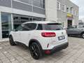 Citroen C5 Aircross Hybrid 225cv E-EAT8 ShinePack Tetto Pelle FariLED Wit - thumbnail 6