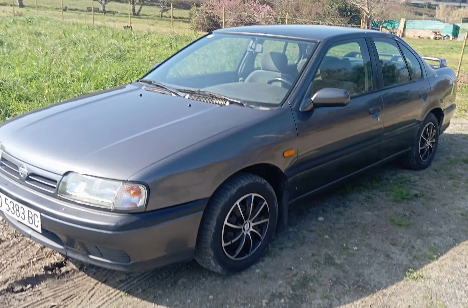 Nissan Primera 2.0i+16v+SLX Gris - 1