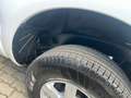 Ford Ranger 2.0 TDCi Panther XL 4x4 Doppelkabine Weiß - thumbnail 17