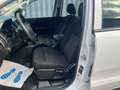 Ford Ranger 2.0 TDCi Panther XL 4x4 Doppelkabine Weiß - thumbnail 11