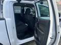 Ford Ranger 2.0 TDCi Panther XL 4x4 Doppelkabine Weiß - thumbnail 13