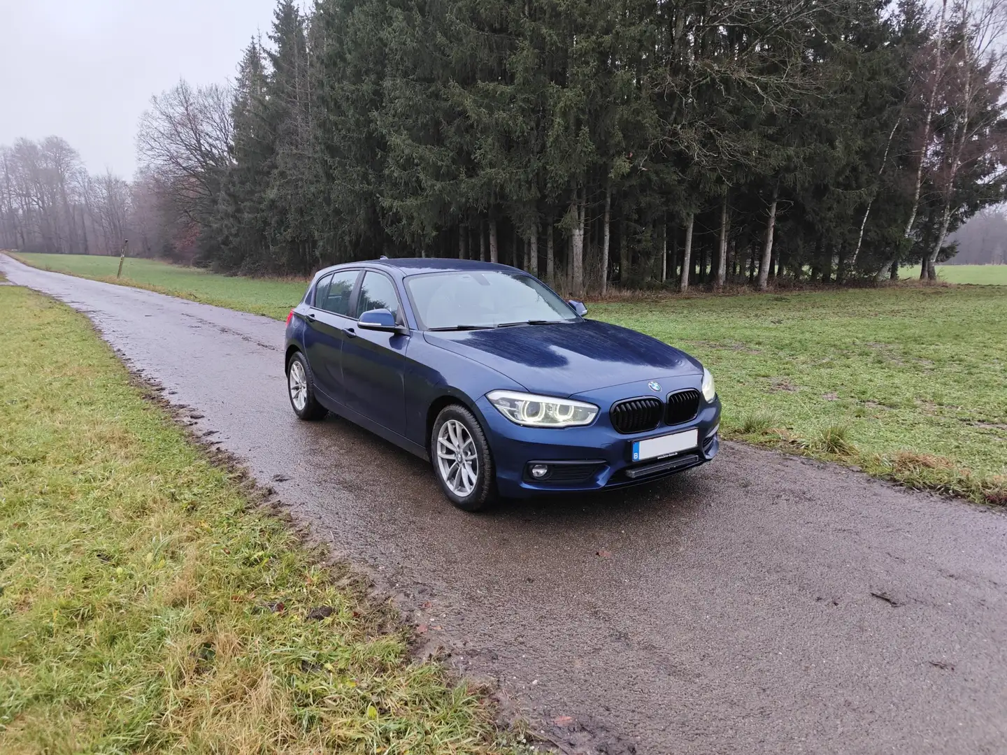 BMW 116 116 d EfficientDynamics Edition Blauw - 2