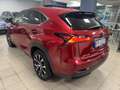 Lexus NX 300 NX I 2014 300h 2.5 F-Sport 4wd cvt GARANZIA LEXUS Rouge - thumbnail 6