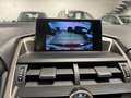 Lexus NX 300 NX I 2014 300h 2.5 F-Sport 4wd cvt GARANZIA LEXUS Rouge - thumbnail 14