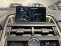 Lexus NX 300 NX I 2014 300h 2.5 F-Sport 4wd cvt GARANZIA LEXUS Rouge - thumbnail 13