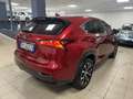 Lexus NX 300 NX I 2014 300h 2.5 F-Sport 4wd cvt GARANZIA LEXUS Rouge - thumbnail 4