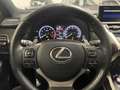 Lexus NX 300 NX I 2014 300h 2.5 F-Sport 4wd cvt GARANZIA LEXUS Rouge - thumbnail 11