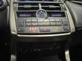 Lexus NX 300 NX I 2014 300h 2.5 F-Sport 4wd cvt GARANZIA LEXUS Rouge - thumbnail 15