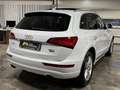 Audi Q5 2.0 TFSI tiptronic quattro / Keyless B&O Pano Weiß - thumbnail 4