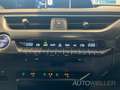 Lexus UX 250h Amazing Edition *CarPlay*LED*Kamera*SHZ* Weiß - thumbnail 24