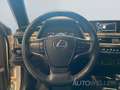 Lexus UX 250h Amazing Edition *CarPlay*LED*Kamera*SHZ* Weiß - thumbnail 11