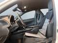 Lexus UX 250h Amazing Edition *CarPlay*LED*Kamera*SHZ* Weiß - thumbnail 14