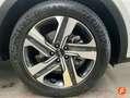 Kia Sorento 1.6 T-GDi HEV Drive 4x2 Blanco - thumbnail 22