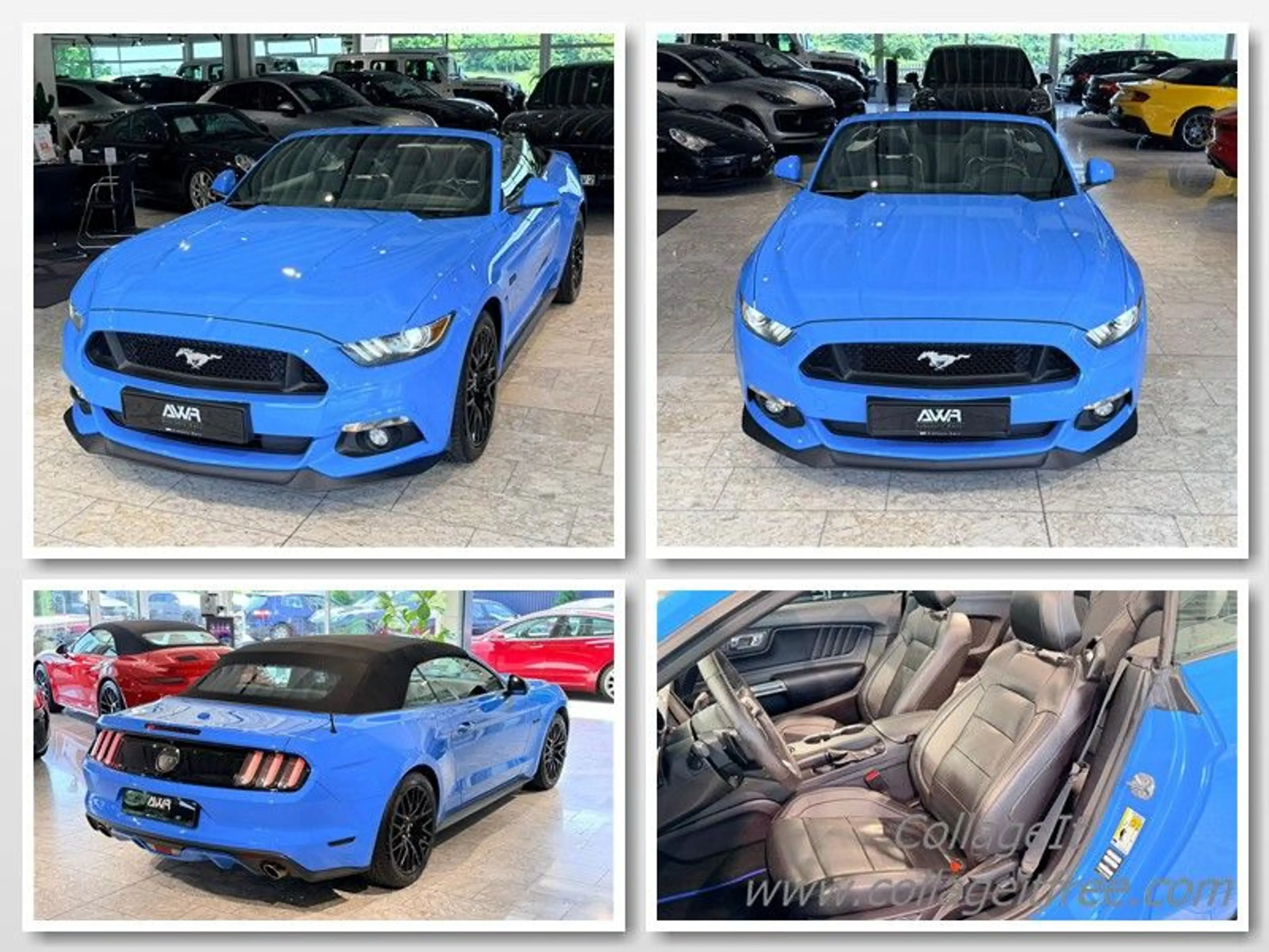 Ford Mustang GT Convertible DE-FZG*PERFORMANCE*19"*