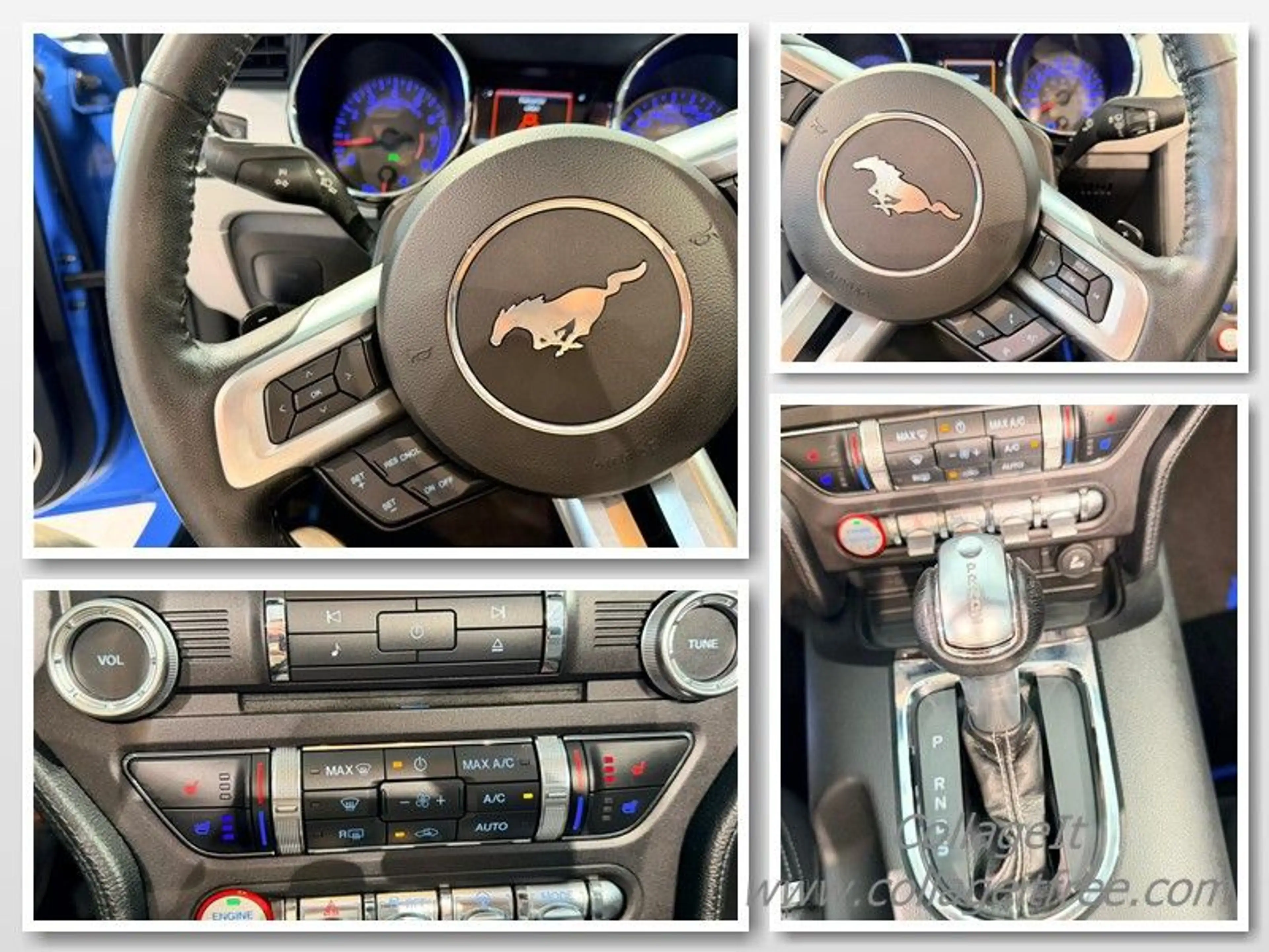 Ford Mustang GT Convertible DE-FZG*PERFORMANCE*19"* — photo 9