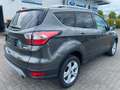 Ford Kuga Cool & Connect*WinterP*SichtP* Grau - thumbnail 4