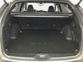 Subaru OUTBACK Outback 2.5i Platinum MJ24 Złoty - thumbnail 6