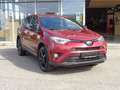 Toyota Sonstige Hybrid 4x2 Active *Kamera Rot - thumbnail 1