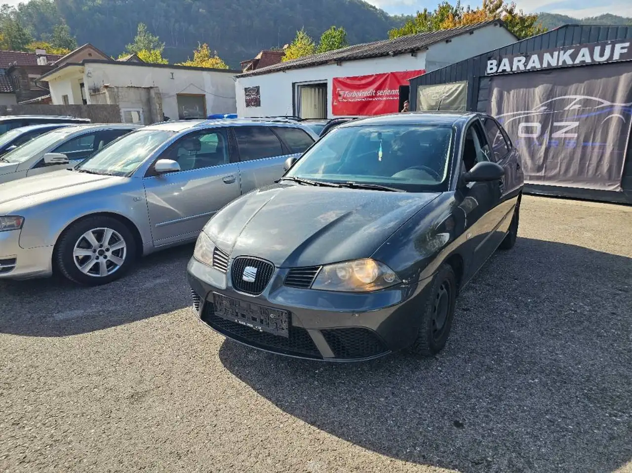 Seat Ibiza